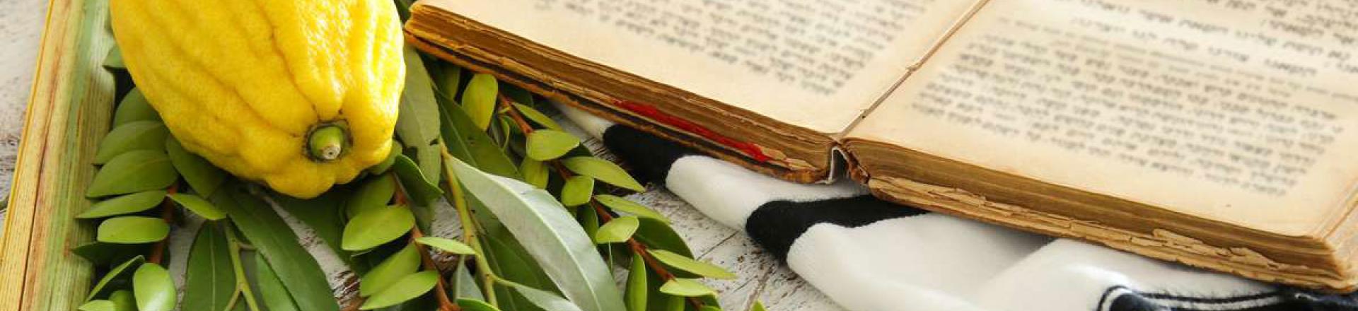 Sukkot Dummy